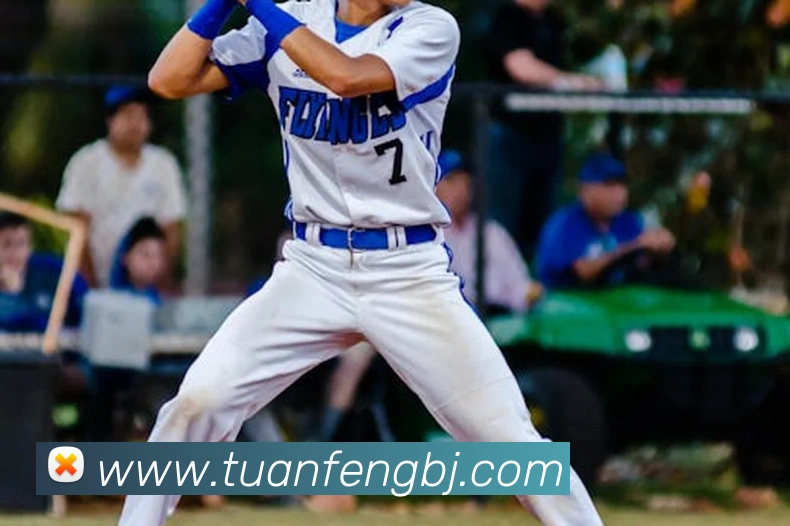 互动解说服务